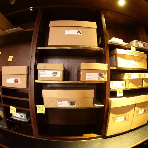 Photograph of collections boxes stored on shelves