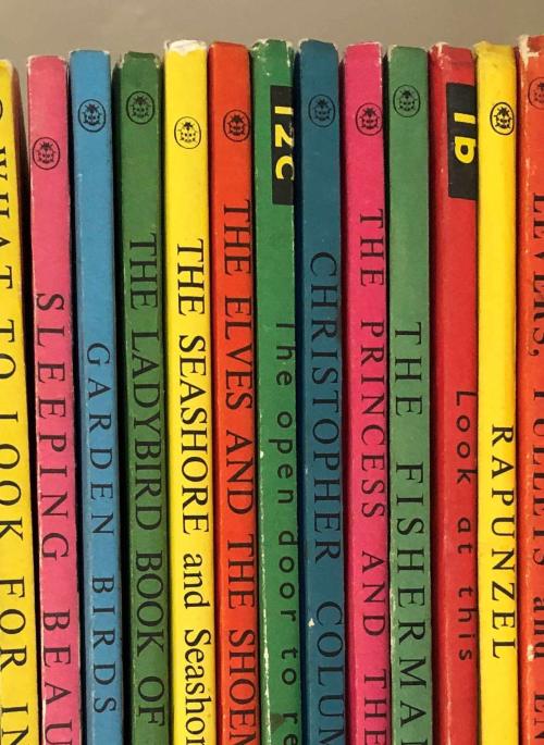 Spines of old fashioned ladybird books