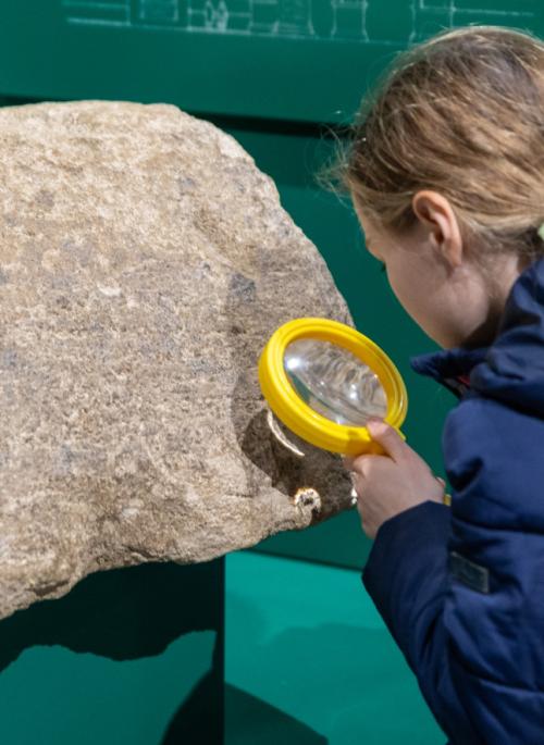 child examining stone with magnifying glass