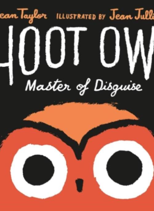 Hoot Owl book cover